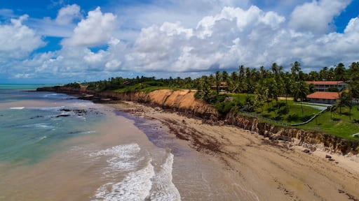 Uma praia com areia, palmeiras e um penhasco.