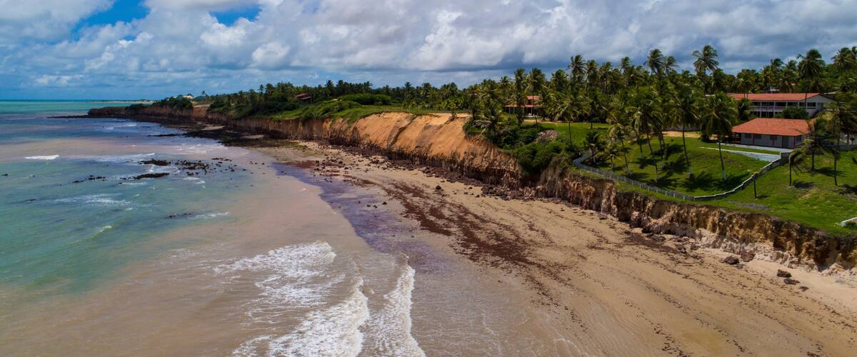 A beach with a sandy shore, palm trees, and a cliff.