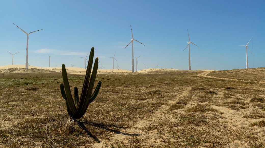 São Gonçalo do Amarante