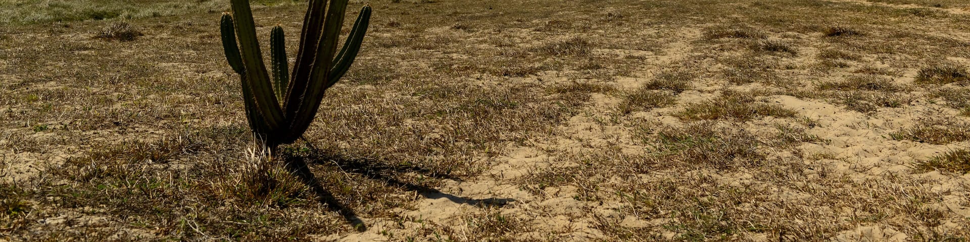 Wind farm in the dunes. São Gonçalo do Amarante, Ceara State, Brazil on October 29, 2017.