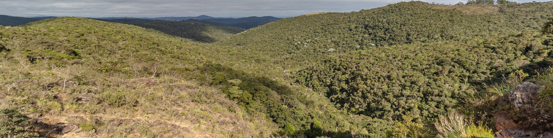 Un paisaje montañoso con vegetación verde tupida y afloramientos rocosos.