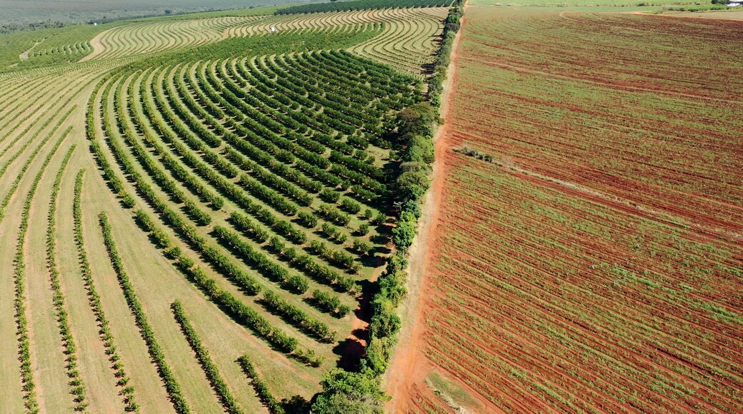 Sunset Agriculture Field In Passos Minas Gerais Brazil. Birds Eye View Of Peaceful Mountains Valley And Forest Trees. Countryside Field Rural Field. Countryside Agro Rural Panoramic Sky.