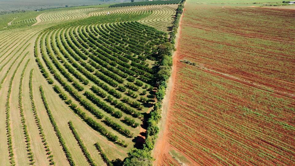Sunset Agriculture Field In Passos Minas Gerais Brazil. Birds Eye View Of Peaceful Mountains Valley And Forest Trees. Countryside Field Rural Field. Countryside Agro Rural Panoramic Sky.