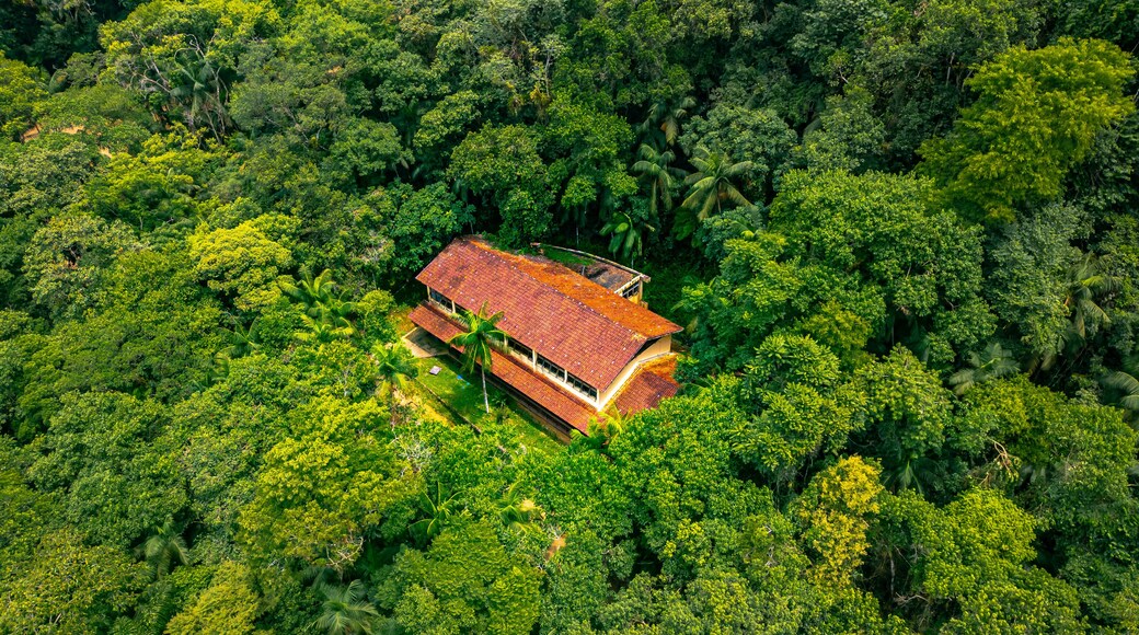 Santa Izabel do Pará