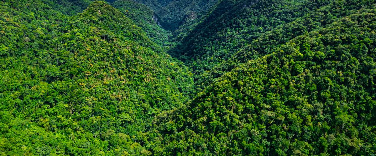 A lush green valley surrounded by steep hills.
