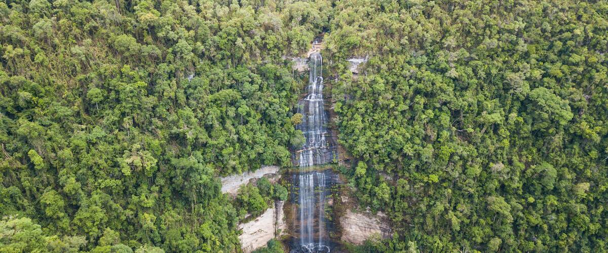 A waterfall cascading through a dense forest.