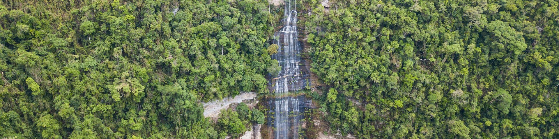 A waterfall cascading through a dense forest.