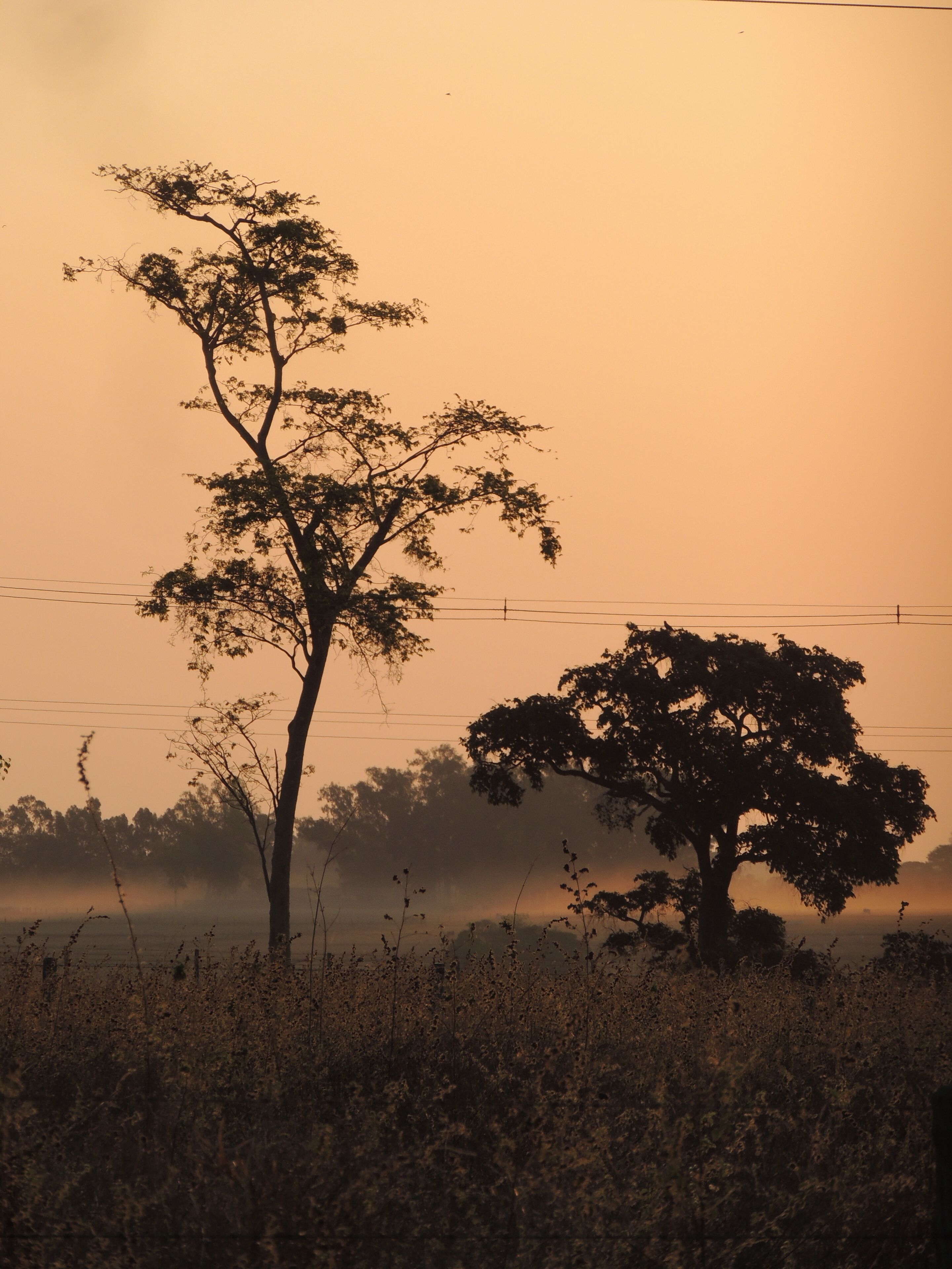 聖安東尼奧杜阿拉坎瓜
