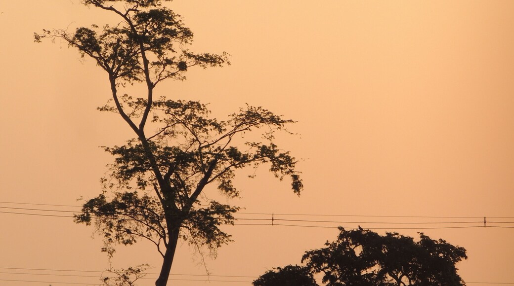 聖安東尼奧杜阿拉坎瓜