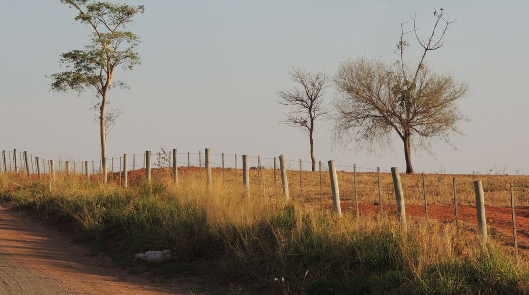 聖安東尼奧杜阿拉坎瓜