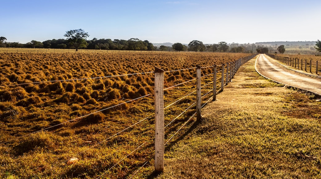 Campestre de Goiás