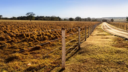 Entardecer em cena campestre. Estrada em fazenda com cerca de madeira, pasto e céu azul.