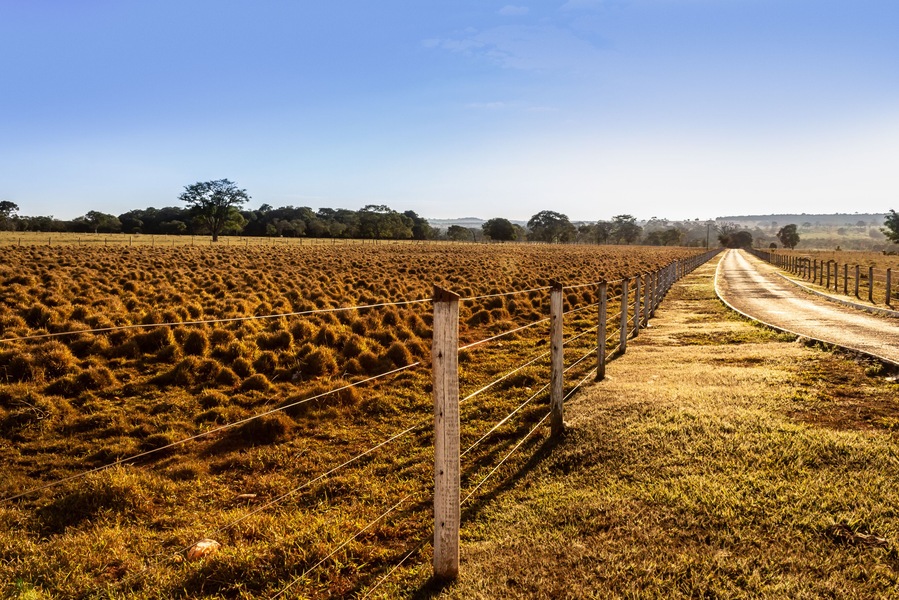 Entardecer em cena campestre. Estrada em fazenda com cerca de madeira, pasto e céu azul.