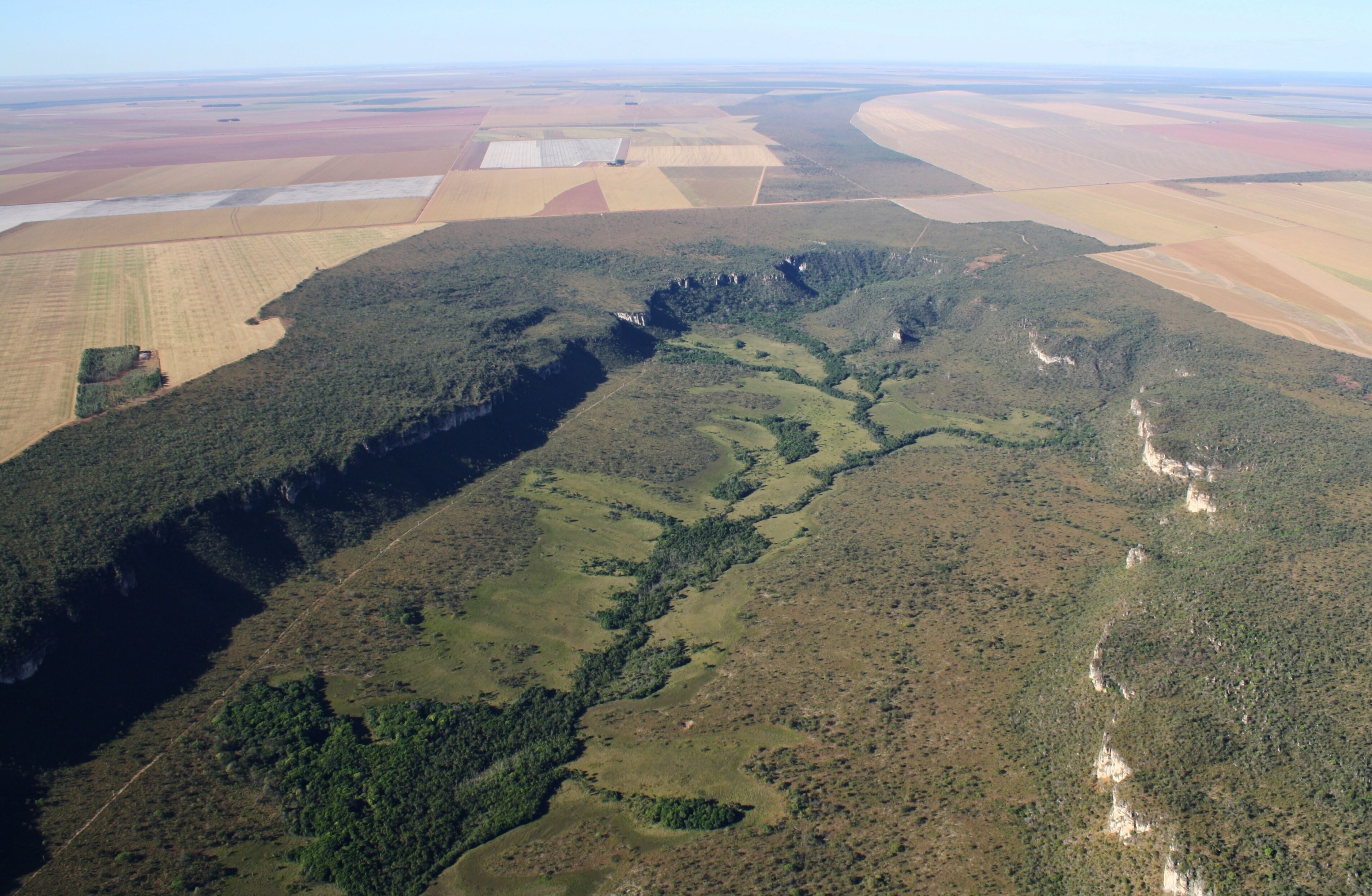 An aerial view of a forested valley with a river, agricultural fields, and a distant mountain range.