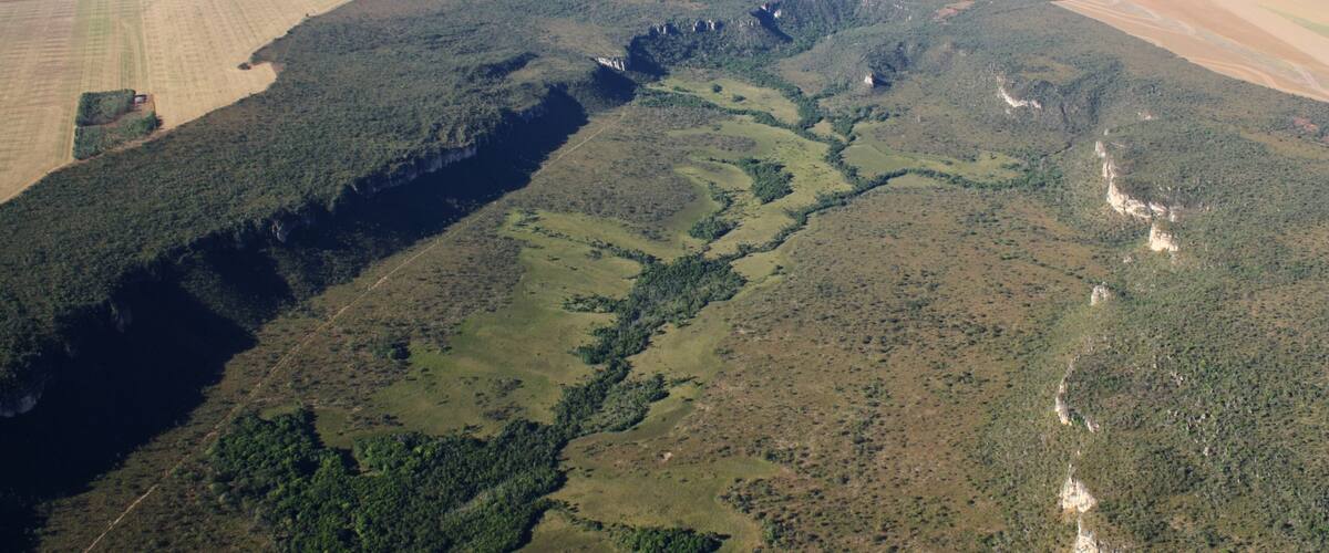 An aerial view of a forested valley with a river, agricultural fields, and a distant mountain range.