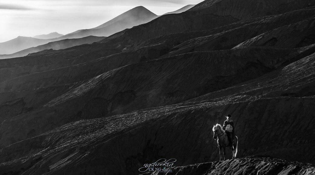 Hero II Mt Bromo- East Java
随时随地准备扑过去抓取生活精彩镜头