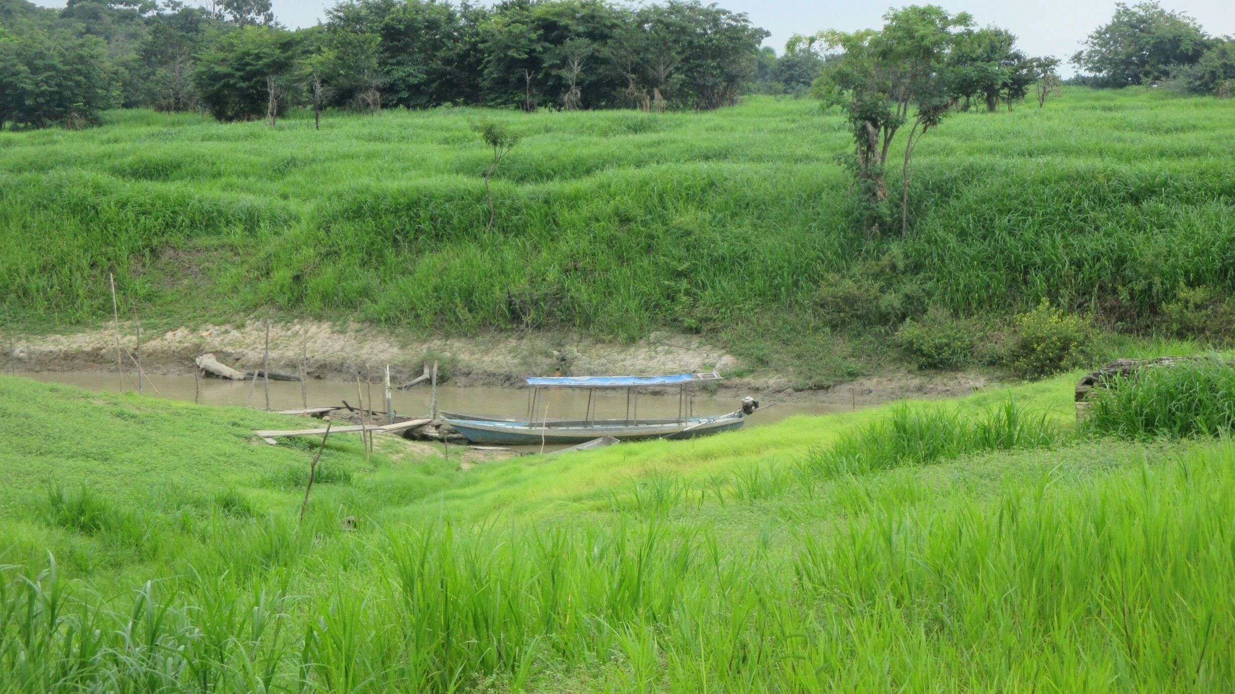 We had the opportunity to visit the small river village of Caboclo today and to interact with the locals. Located on the southern bank of the Amazon where the Valeria River joins it it was a wonderful peek into how the folks in the small villages live.