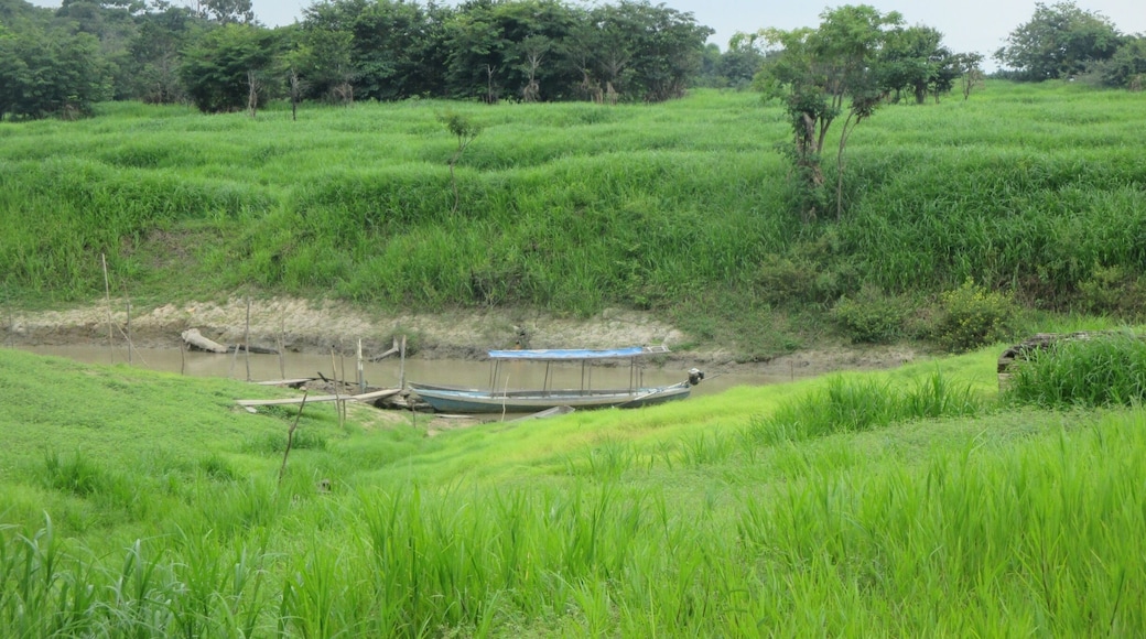 We had the opportunity to visit the small river village of Caboclo today and to interact with the locals. Located on the southern bank of the Amazon where the Valeria River joins it it was a wonderful peek into how the folks in the small villages live.