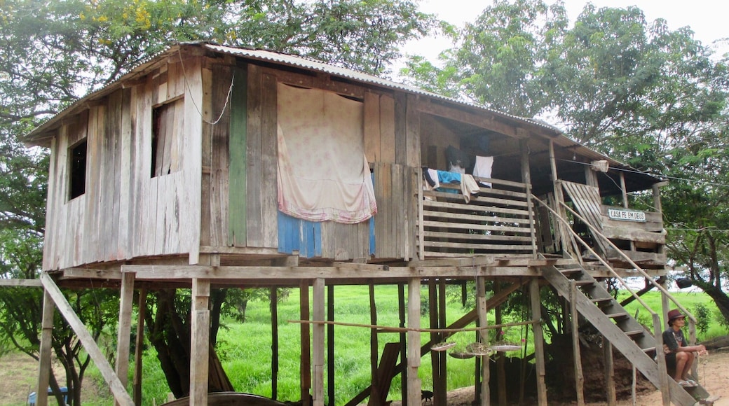 We had the opportunity to visit the small river village of Caboclo today and to interact with the locals. Located on the southern bank of the Amazon where the Valeria River joins it it was a wonderful peek into how the folks in the small villages live.