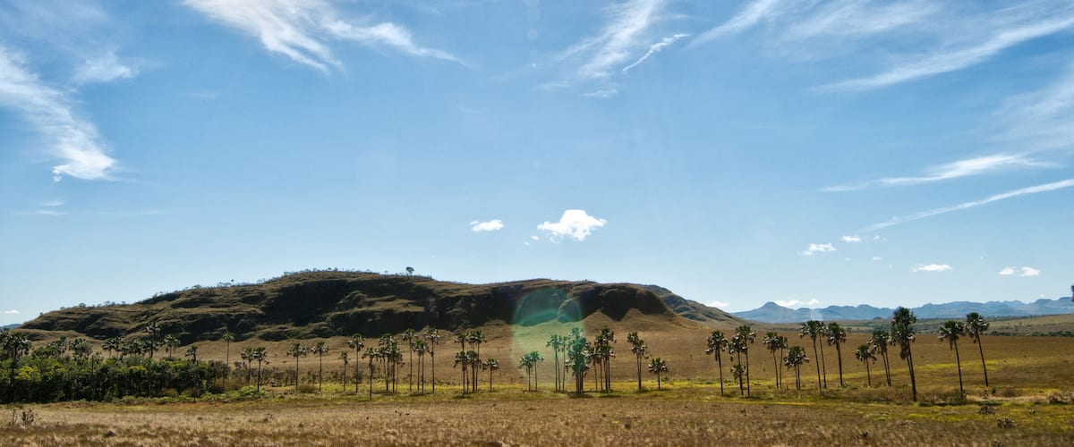 A landscape with a clear sky, a hill with sparse vegetation, and a flat plain with scattered trees.