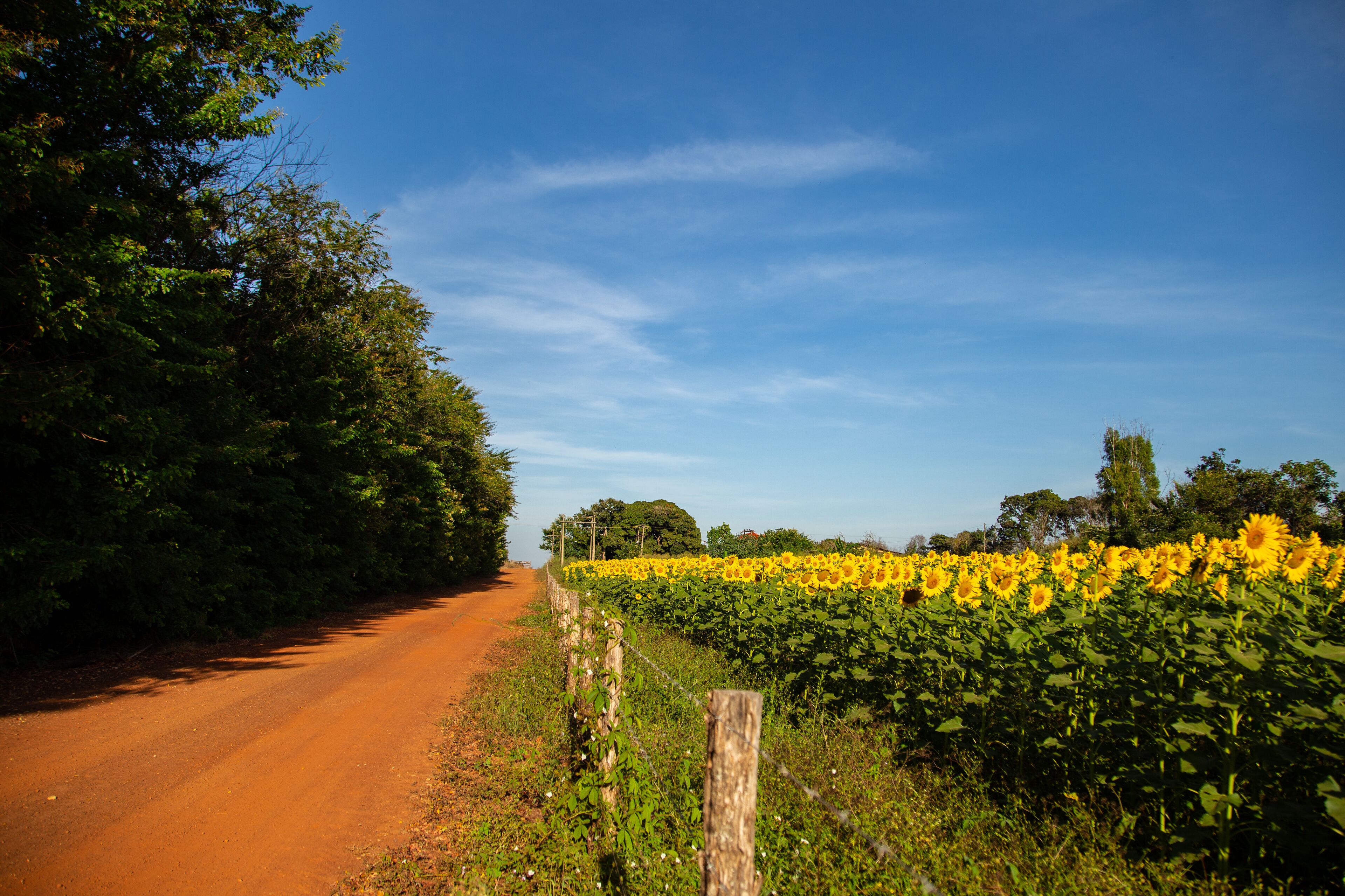 Bela Vista de Goiás