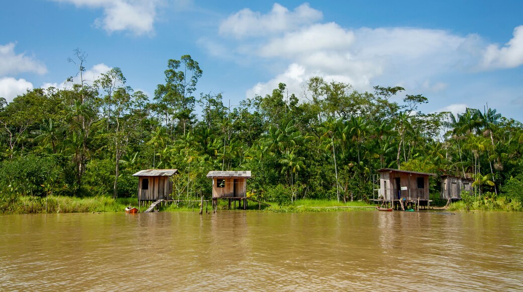 São Caetano de Odivelas