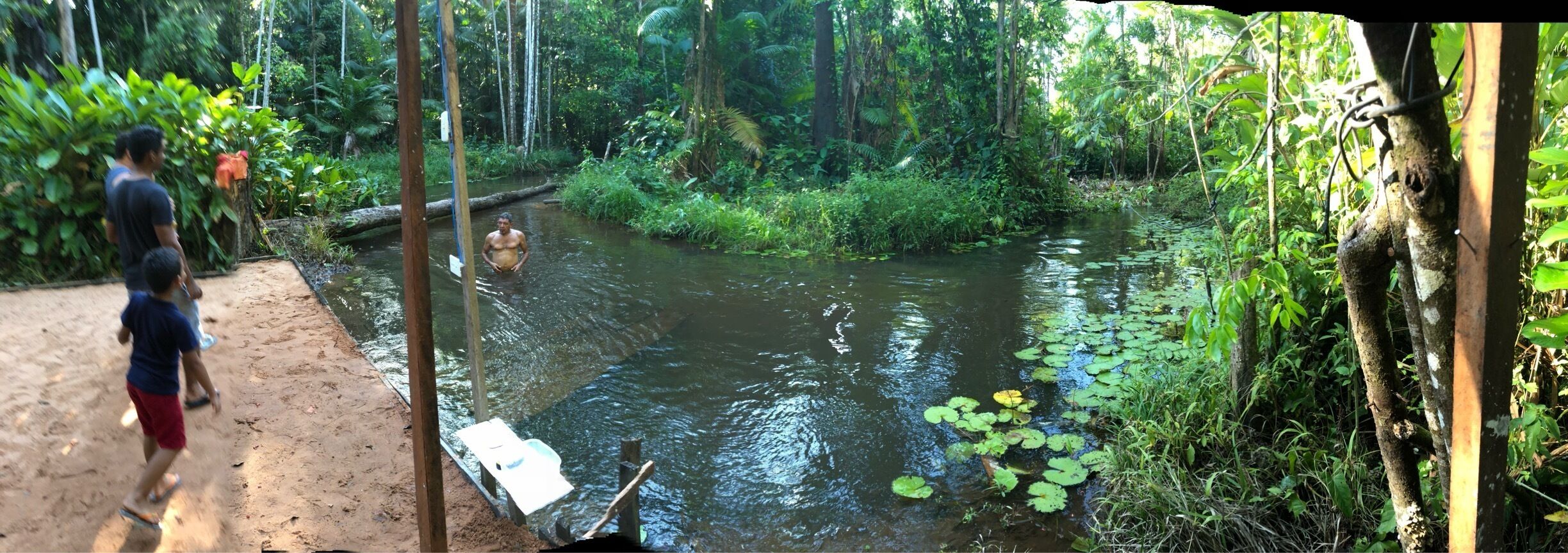 A river with water lilies, surrounded by dense greenery and trees.