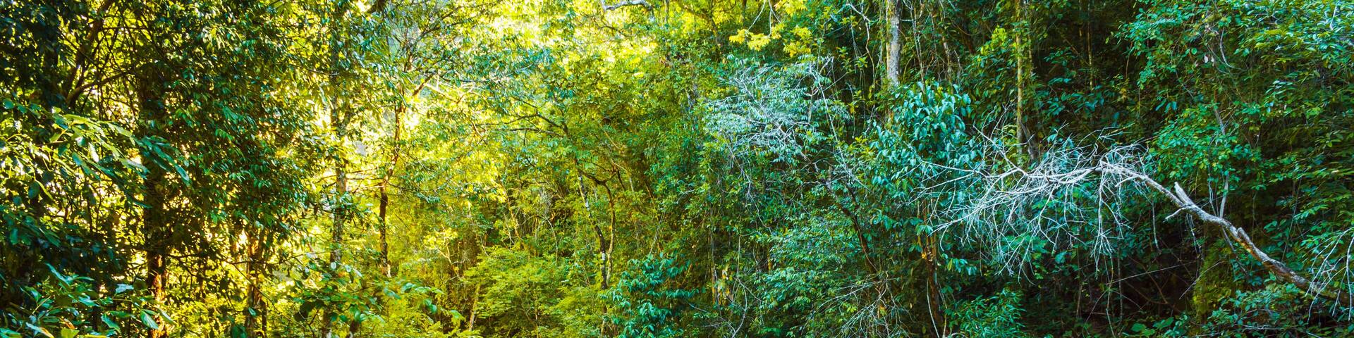 Itiquira river, city of Formosa, state of Goias, Brazil. Beautiful and paradisiac landscape. Preserved park in South America.