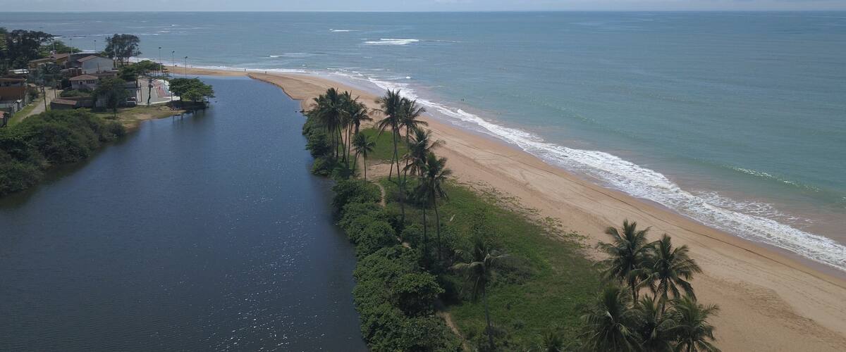A coastal landscape with a river, beach, and palm trees.