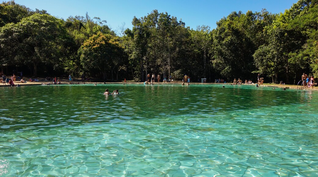 Brasilia, Brazil - Jul 22 2024: Brasilia National Park, aka Mineral Water park. natural Pools