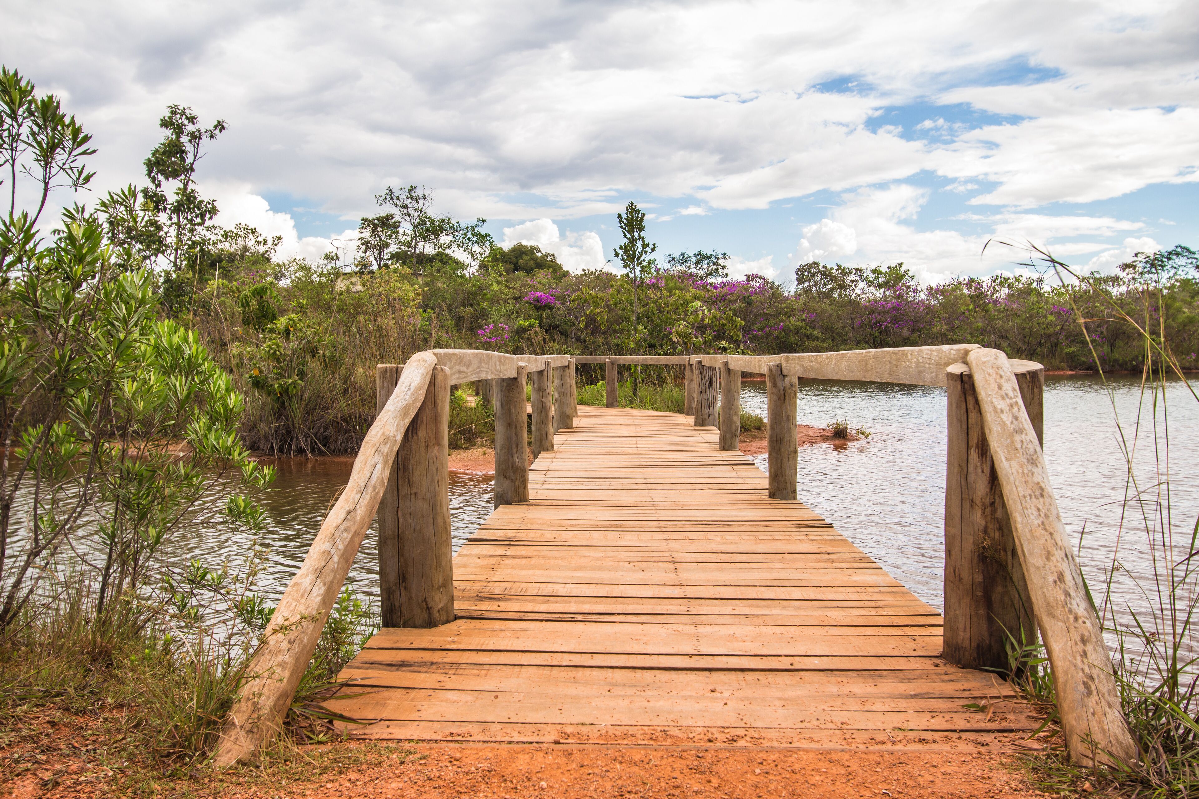 Bridge over the lake