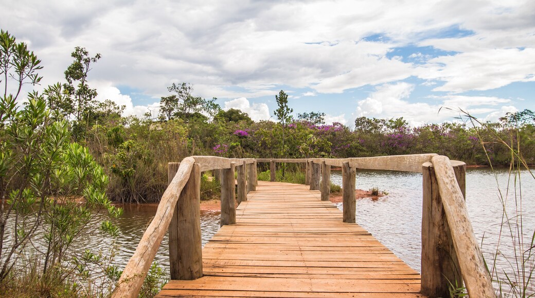 Bridge over the lake