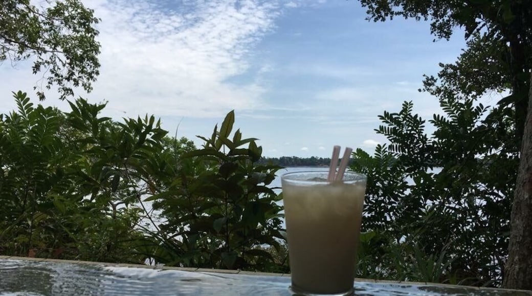 The most amazing place so drink a graviola caipirinha.
#rionegro
#river
#negroriver