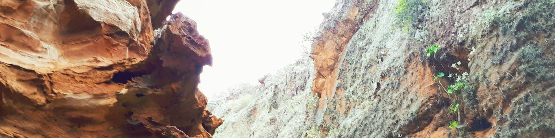 A canyon with steep rock walls and a narrow water channel.