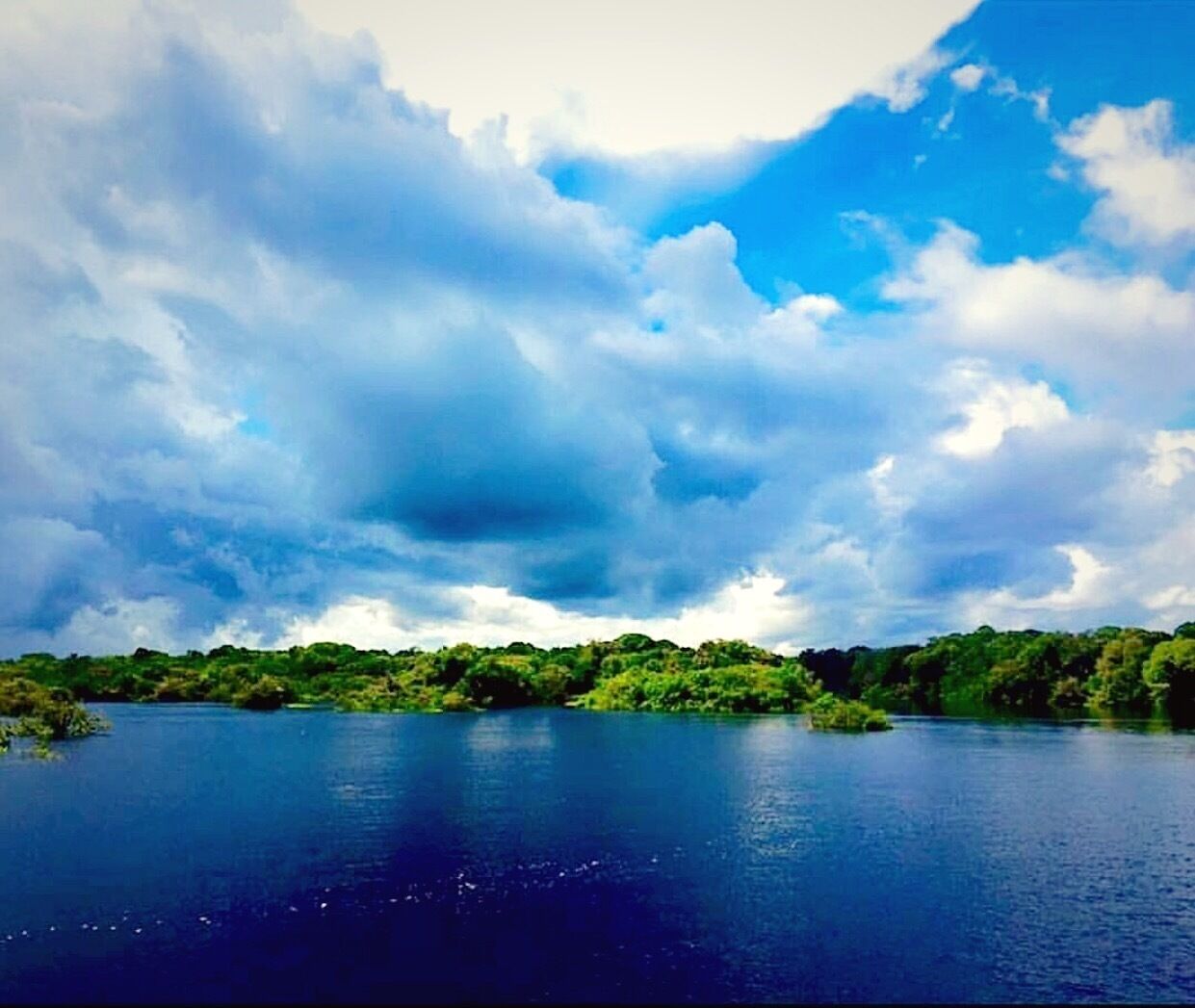 June 2016
Amazon River Brazil. We stayed at Anavilhanas Jungle Lodge, 3 hrs drive from Manaus.