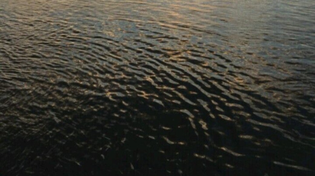 Along the amazon river in Brazil- breathtaking natural beauty