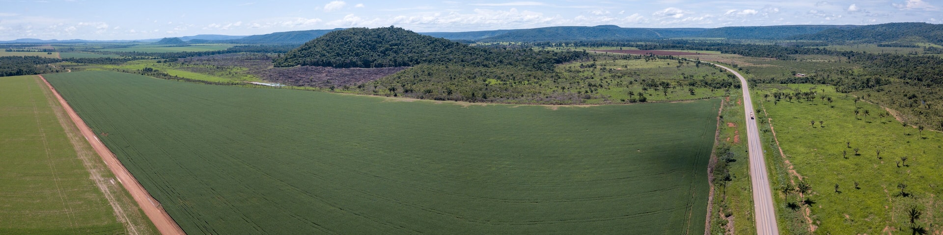 Drone aerial view of BR-163 road and huge soybean plantation area. Deforestation in the Amazon Rainforest, Mato Grosso, Brazil. Concept of agriculture, environment, ecology, climate change.
