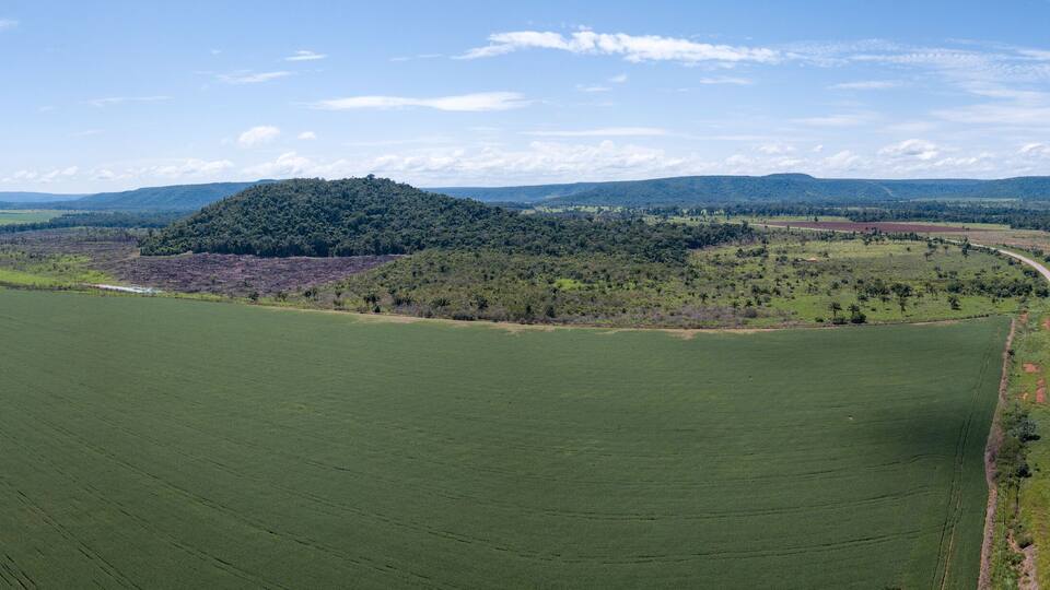A vast green field with a winding road, a hill with dense trees, and distant mountains under a clear sky.