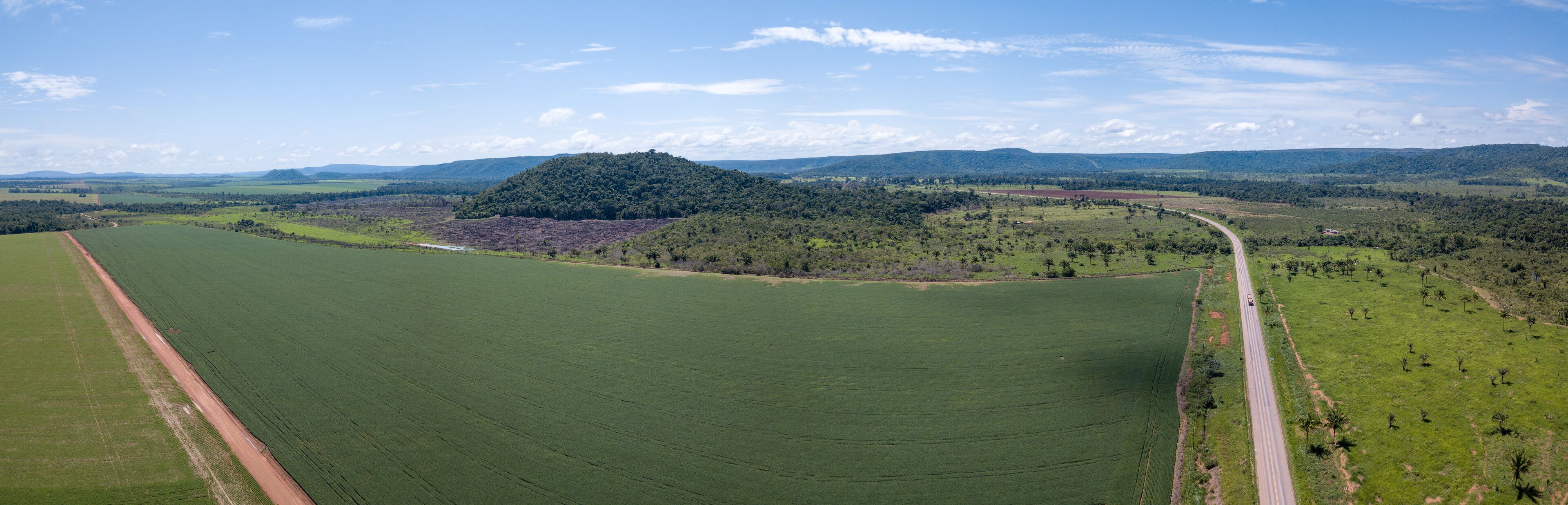A vast green field with a winding road, a hill with dense trees, and distant mountains under a clear sky.