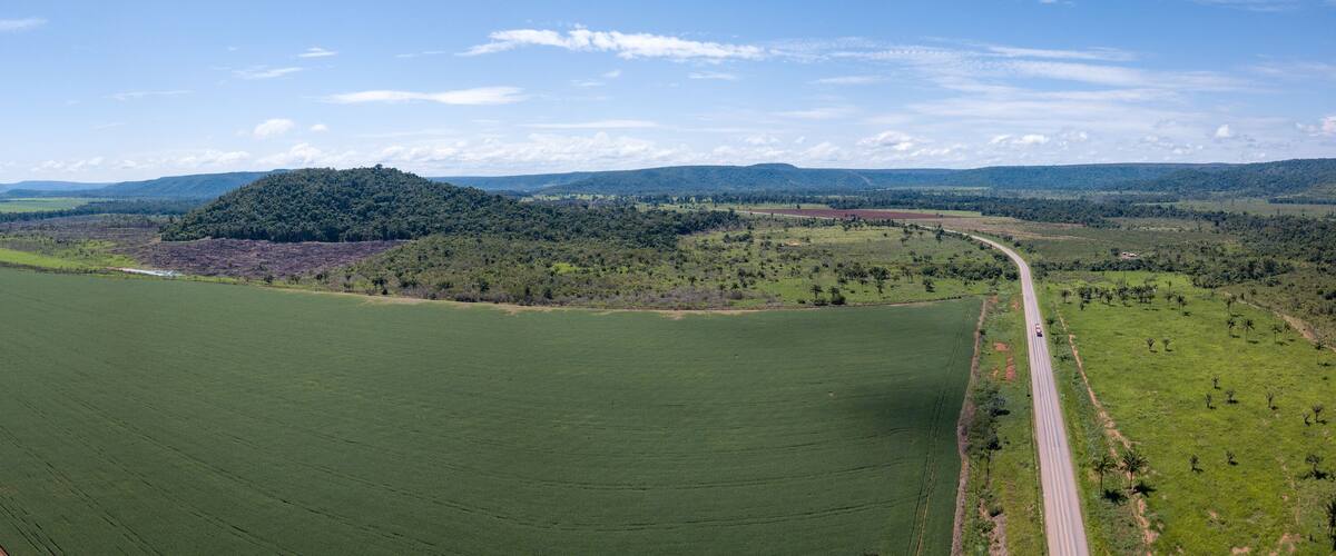 A vast green field with a winding road, a hill with dense trees, and distant mountains under a clear sky.