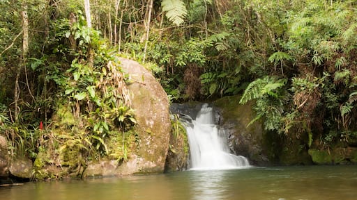 Cachoeira, Cachoeiras do PETAR (Parque Estadual Turístico do Alto Ribeira) localizado no estado de São Paulo quase divisa com o Paraná, Brasil.