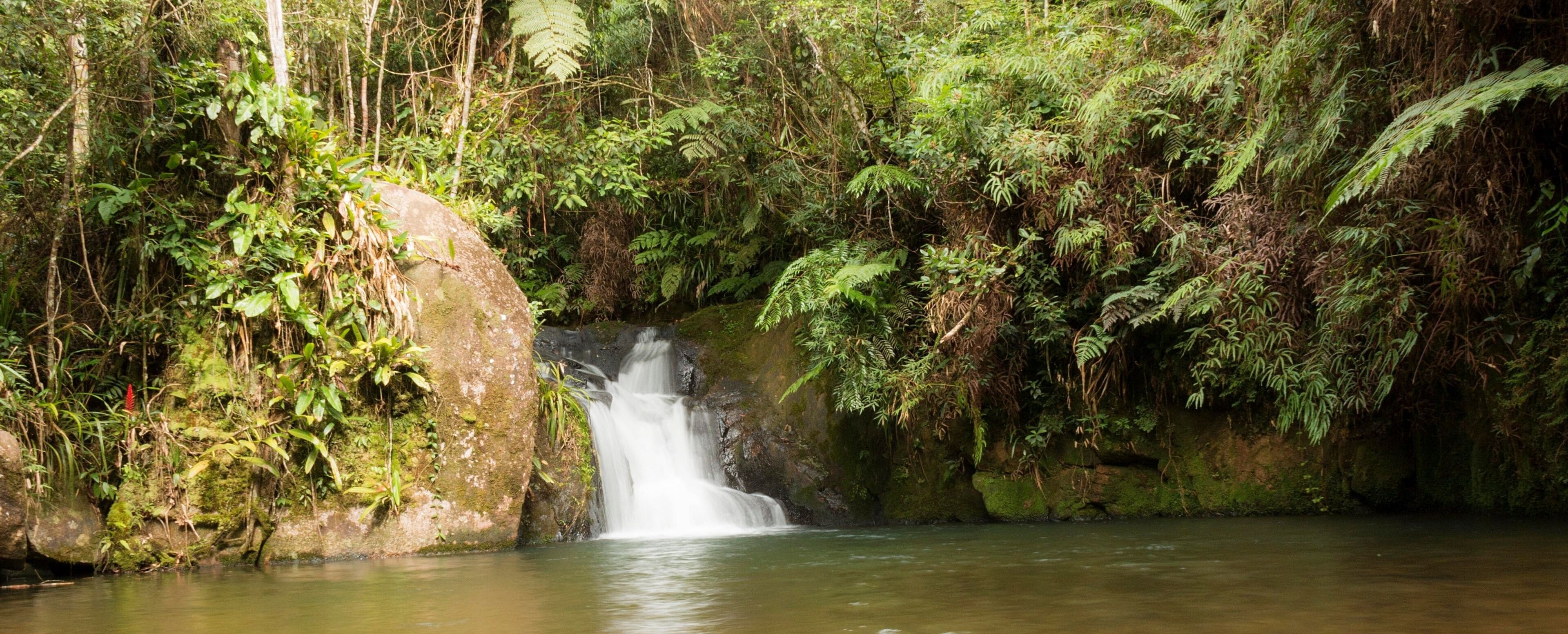 A waterfall in a lush forest with dense foliage and a large moss-covered rock.