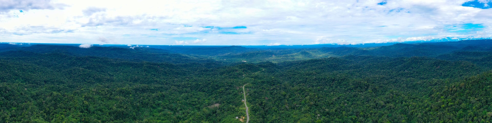 A dense forested mountain range with a winding road.