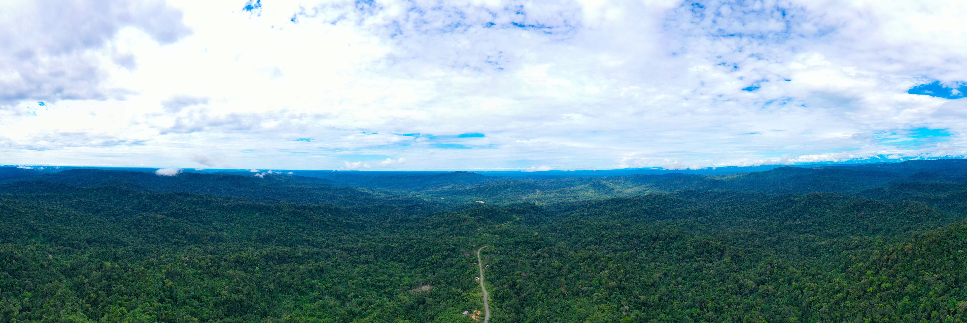 A dense forested mountain range with a winding road.