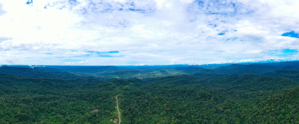 A dense forested mountain range with a winding road.