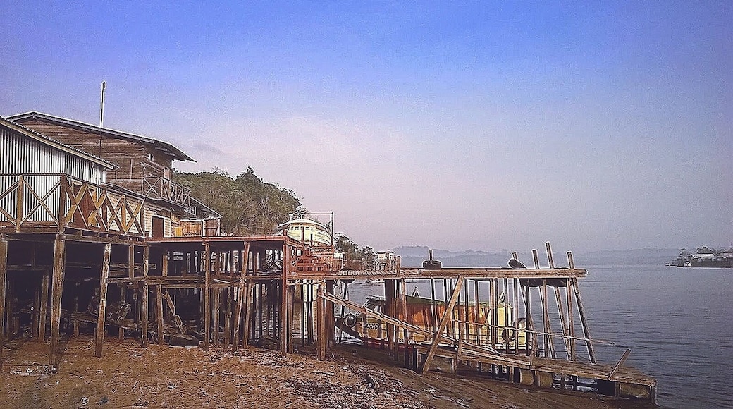 #brazil #para #amazon #river #rainforest #2015