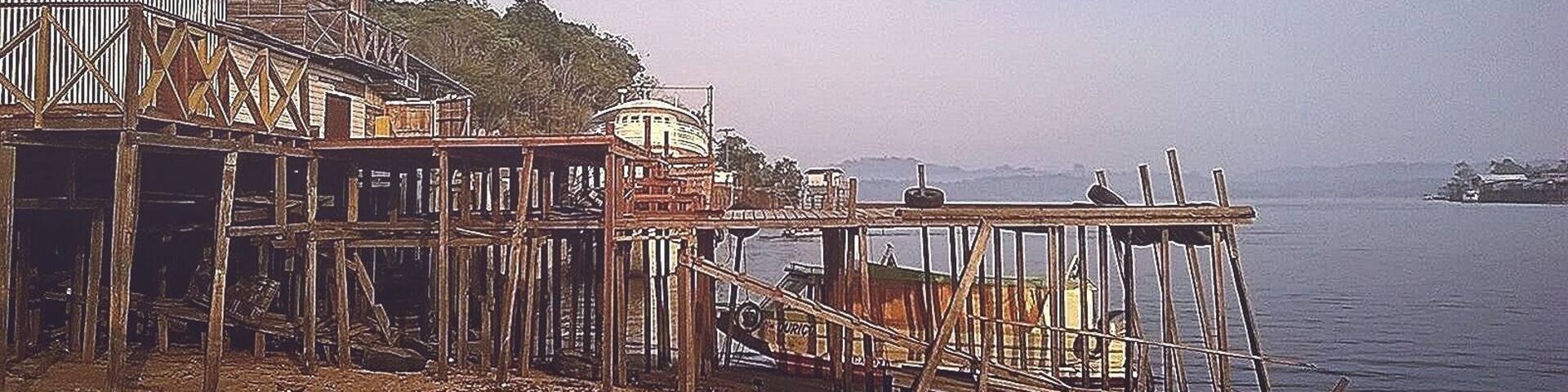 #brazil #para #amazon #river #rainforest #2015