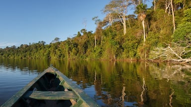 Canoe in the amazon forest, Peru.
