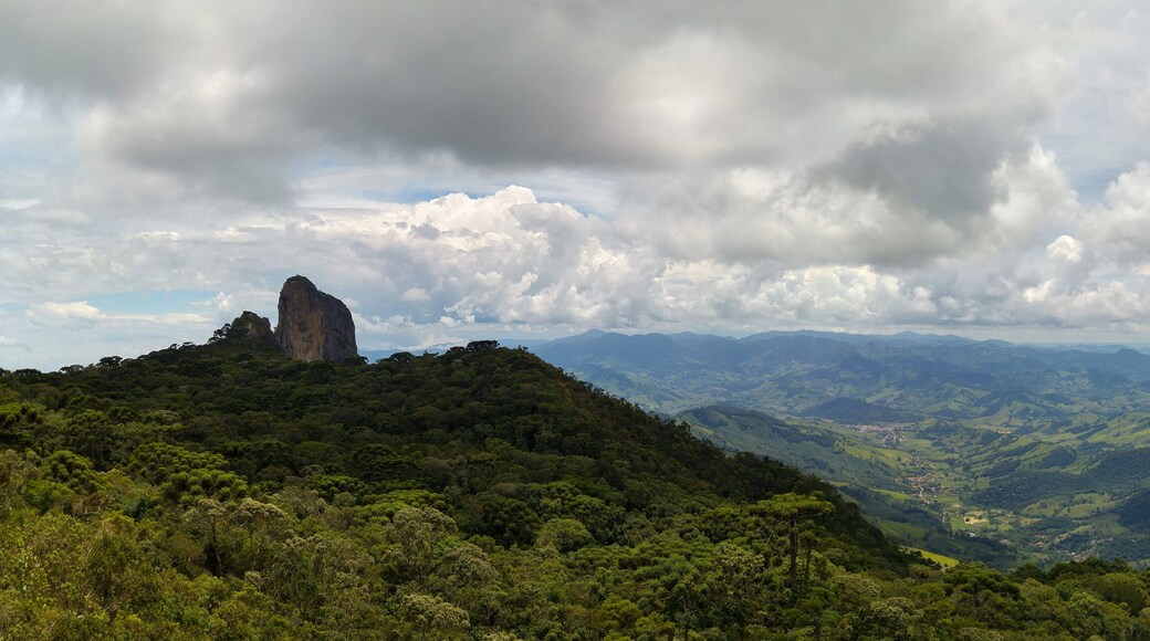 ピニャウジーニョ