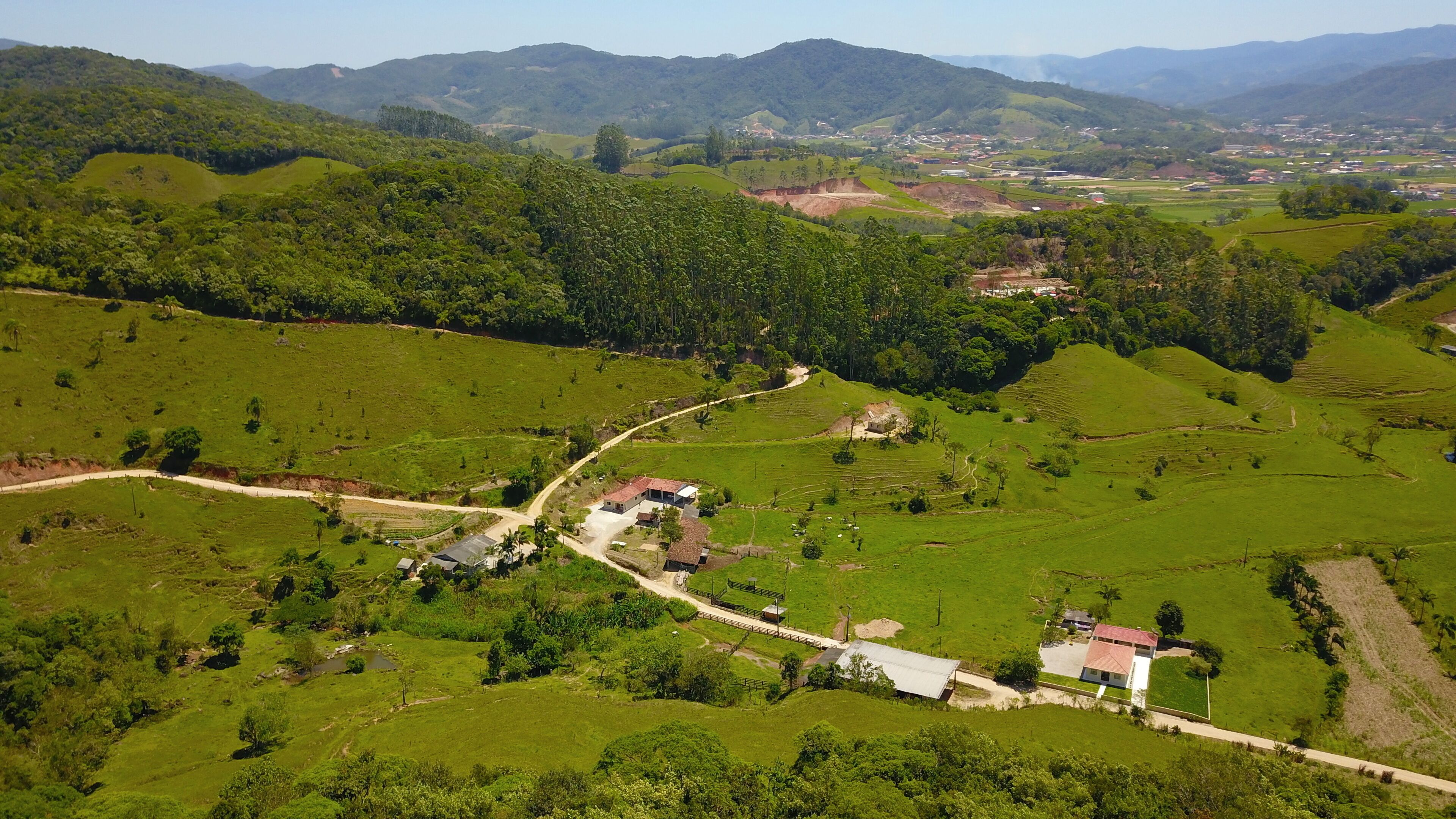 อังตอนีอู การ์ลูส